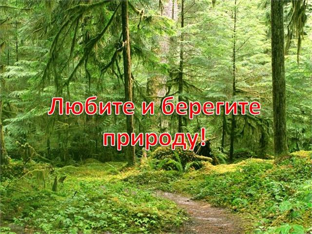 0019-019-ljubite-i-beregite-prirodu.jpg