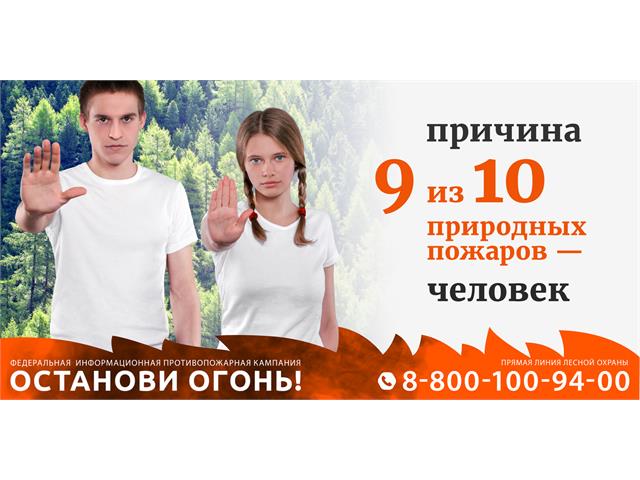 banner.jpg