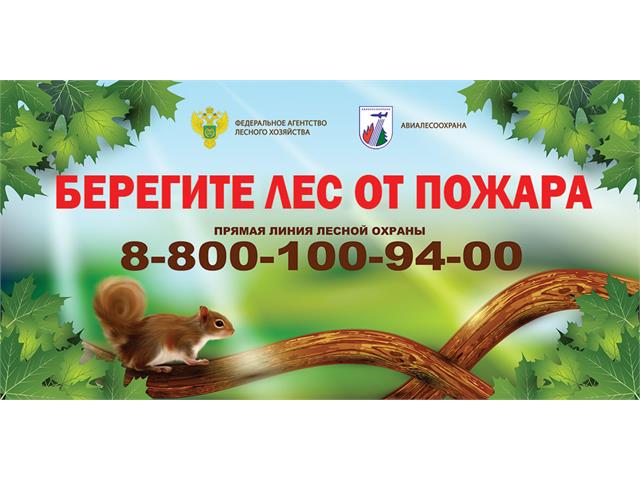 palka-belka-itog.jpg
